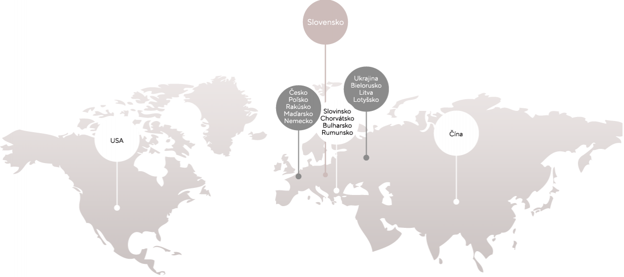 Sme spoločnosť s medzinárodnou pôsobnosťou